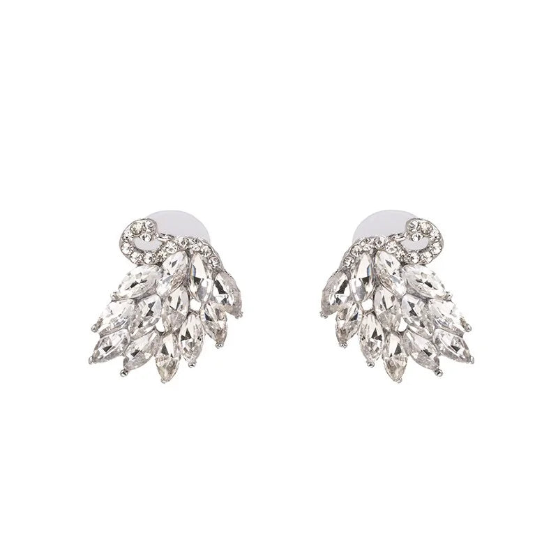 Stylish Earrings